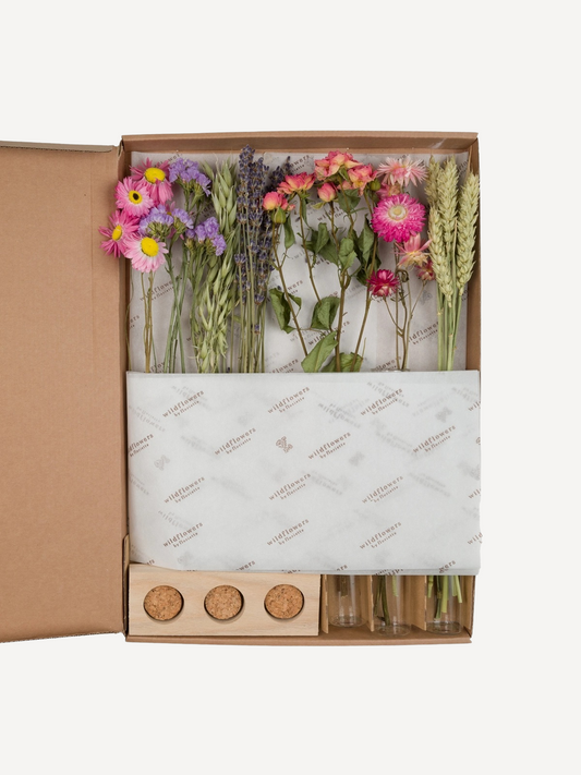 Floriëtte - Trockenblumen - Geschenkbox MIT VASEN, Rosa - Verdancia