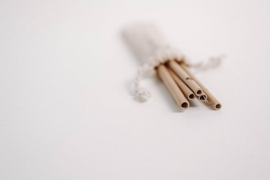 Verdancia JustBowl Strohhalme aus Bambus