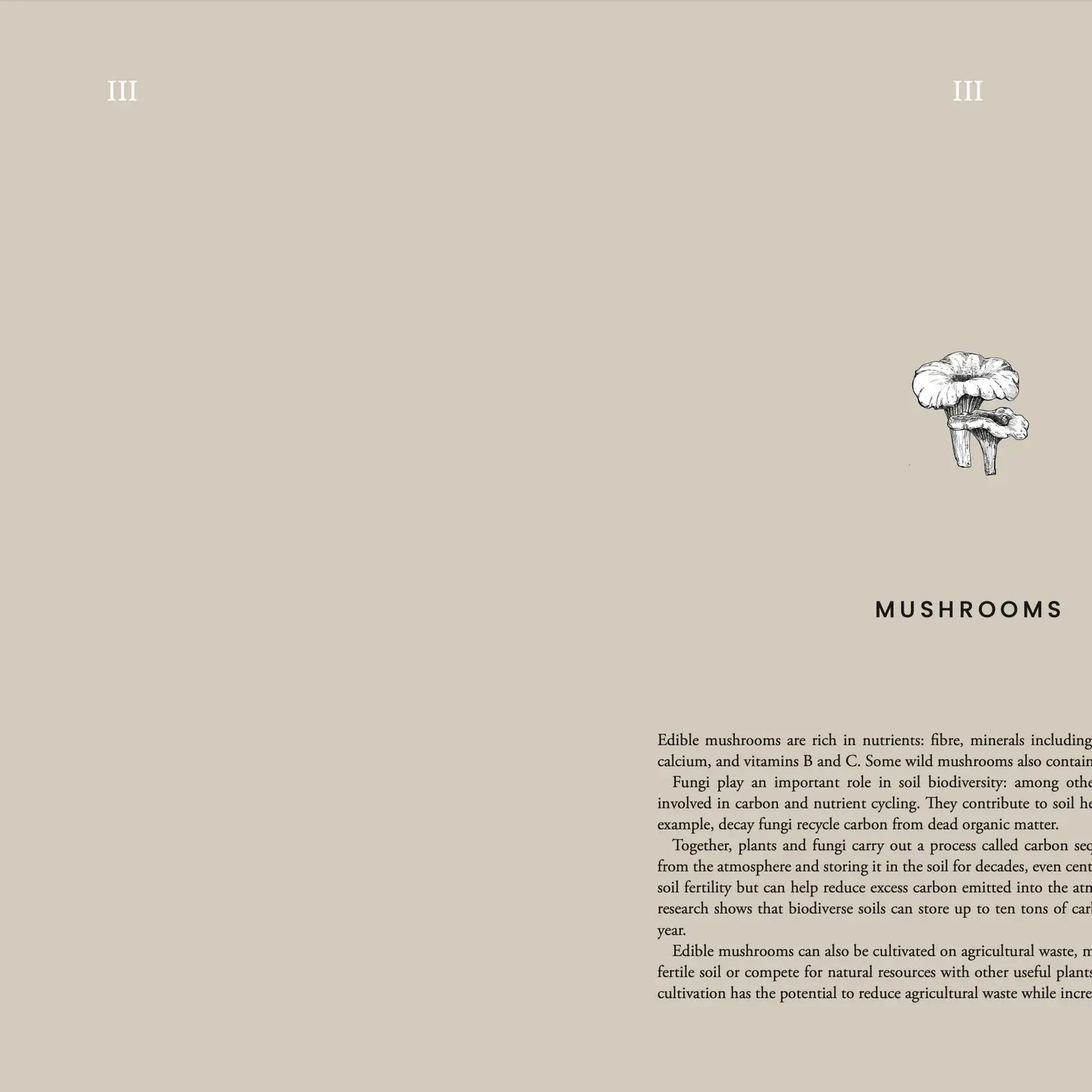 Kochbuch "Cooking Sustainably" - Cozy Publishing - Verdancia