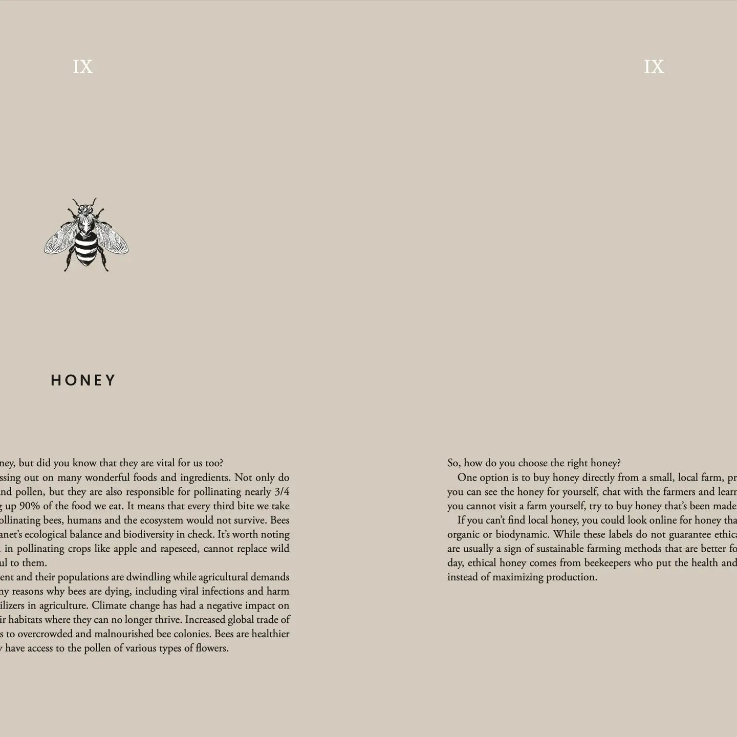 Kochbuch "Cooking Sustainably" - Cozy Publishing - Verdancia