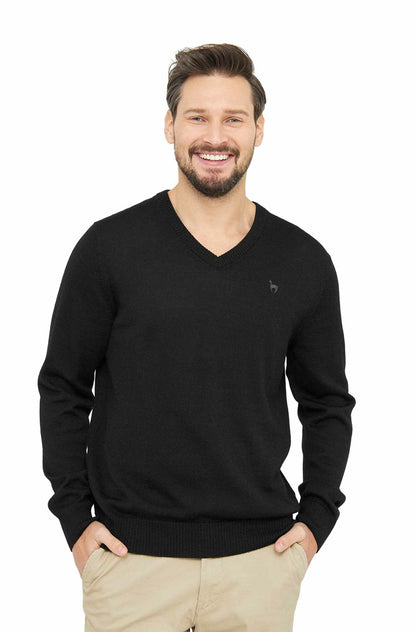 Apu Kuntur - Edler Herren-Pullover aus 100% Baby Alpaka - V-Kragen | Verdancia 5