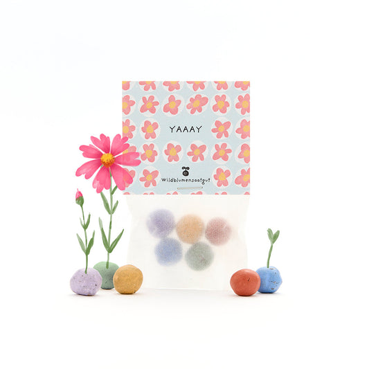 Trockenblumen von Die Stadtgärtner, 5 Blumenmurmeln im Tütchen "Yay" mit bunten Kugeln, dekoratives Naturprodukt.