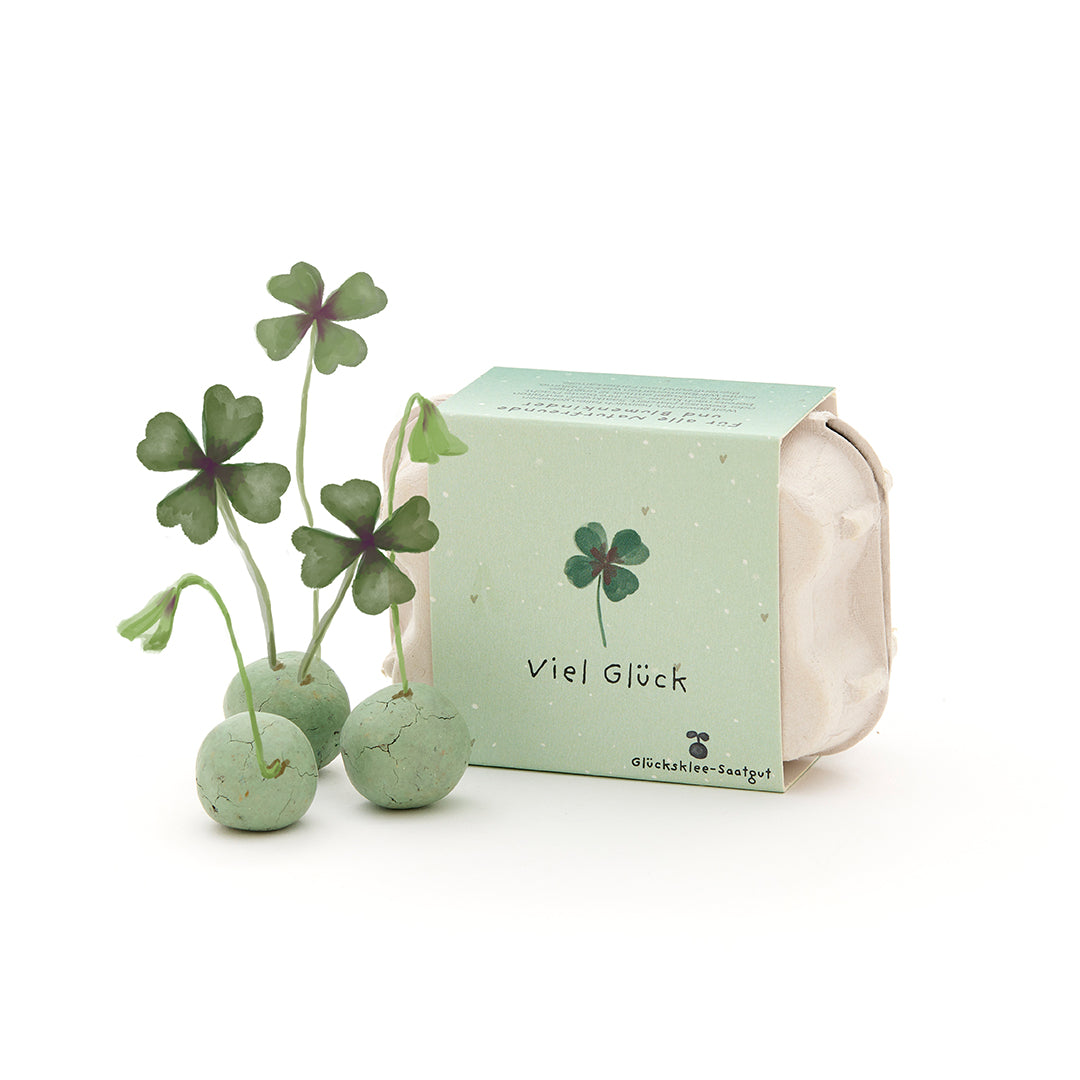 Bunte Blumenmurmeln im Eierkarton von Die Stadtgärtner, Pflanzenbauset für Glückssymbole wie Kleeblätter und Vögel.