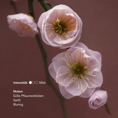 no need for more - Natural Incense Sticks - "I Can Buy Myself Flowers" - Plum Blossoms