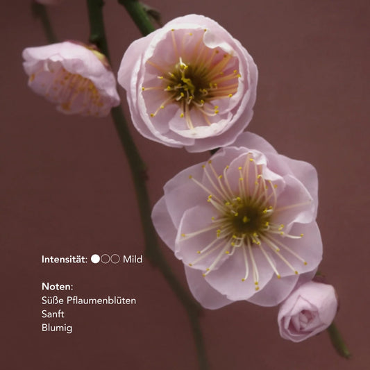 no need for more - Natural Incense Sticks - "I Can Buy Myself Flowers" - Plum Blossoms