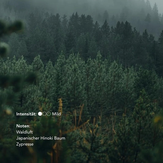 no need for more - Natural Incense Sticks - "Forest Walk" - Fir, Hinoki Cypress