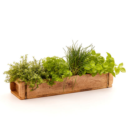 Lange Ziegelform mit 2 Fächern von Die Stadtgärtner, Pflanzenbauset, ideal für den Garten- und Pflanzenanbau.