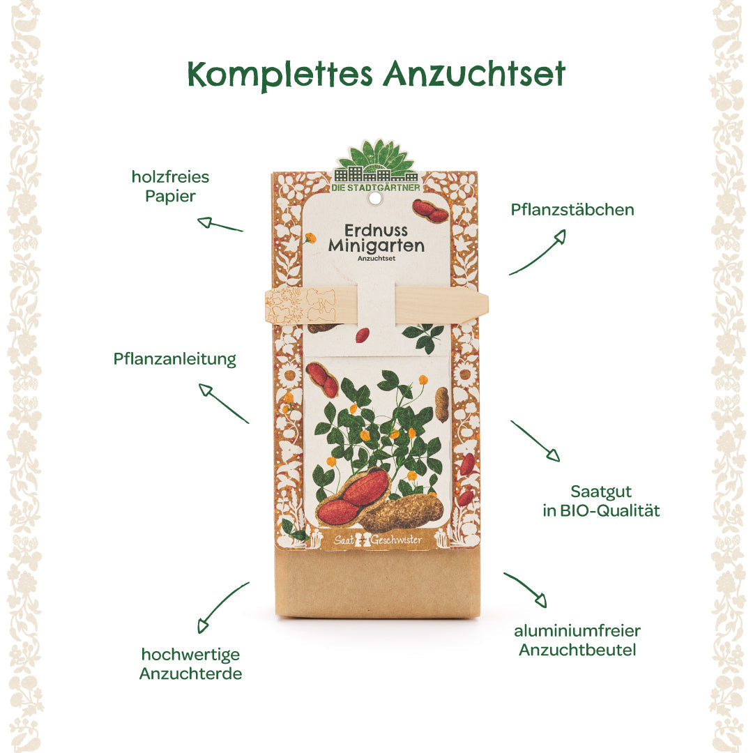 Anzuchtset für Minigarten mit Erdnüssen von Die Stadtgärtner, zeigt die Samen und Anzuchttöpfe für den Anbau zu Hause.