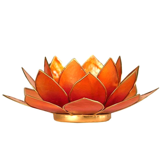 Lotus Vita Teelicht Capiz - 