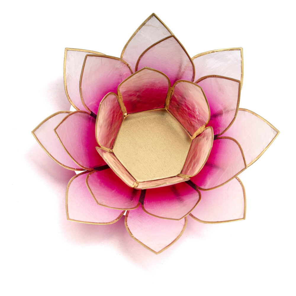 Lotus Vita Teelicht Capiz - 