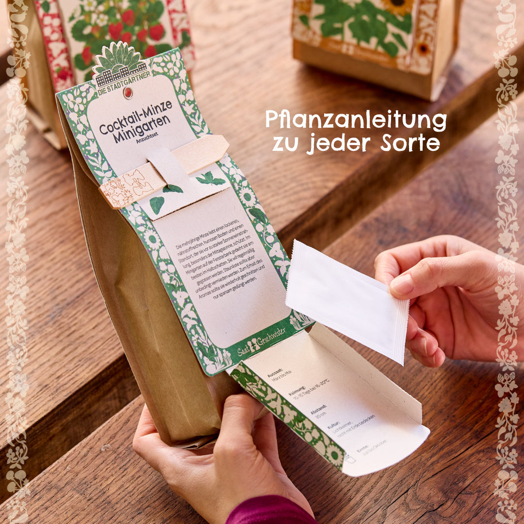 Anzuchtset für Minigarten mit Bio-Lavendel, geöffnet, zeigt Anzuchttöpfe und Lavendel-Pflanzen im Stadtgärtner-Design