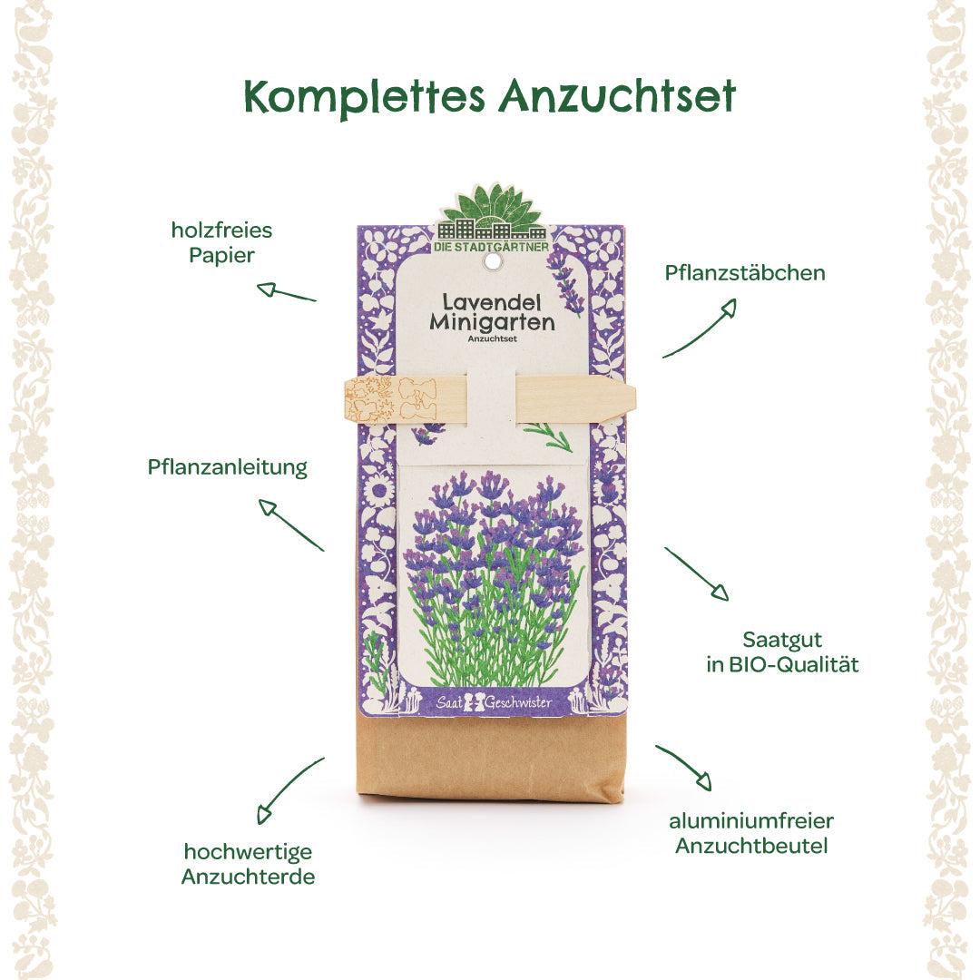 Bio-Lavendel Anzuchtset von Die Stadtgärtner, ideal für Minigärten, mit Samen und Anzuchthilfen für frischen Lavendel.