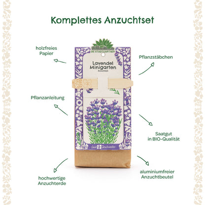 Bio-Lavendel Anzuchtset von Die Stadtgärtner, ideal für Minigärten, mit Samen und Anzuchthilfen für frischen Lavendel.