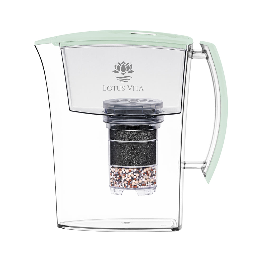 Lotus Vita - filter jug - LOTUS - 1.6L