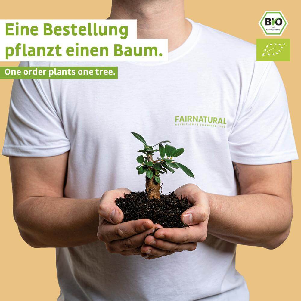 Bio Proteinriegel Vegan Vanille ohne Soja - Verdancia