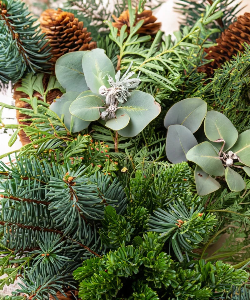 Bio ätherische Öl - „Shinrin Yoku“ – Waldduft für natürliche Entspannung - Verdancia