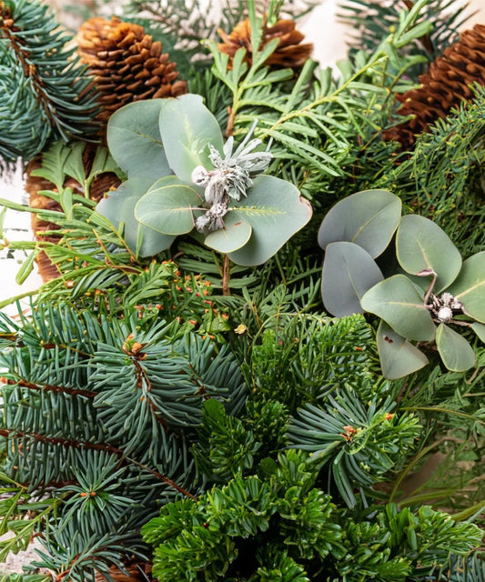 Bio ätherische Öl - „Shinrin Yoku“ – Waldduft für natürliche Entspannung - Verdancia