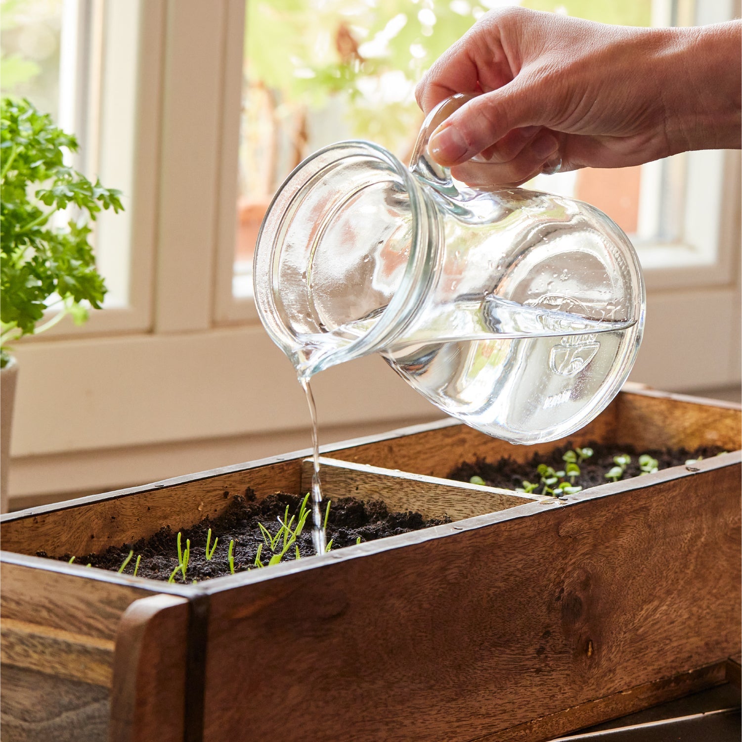 Pflanzenbauset von Die Stadtgärtner, lange Ziegelform mit 2 Fächern, detailreiche Ansicht für urbanes Gartendesign