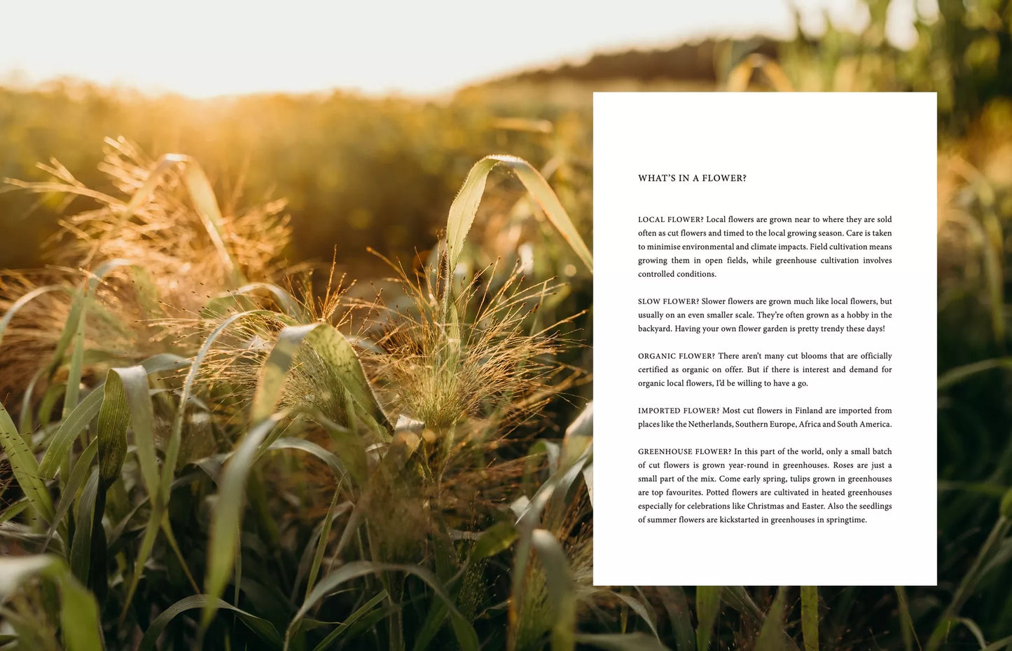 "Where Flowers Bloom" - Cozy Publishing - Coffee Table Book - Verdancia