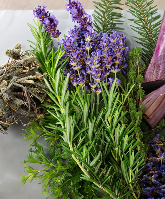 Bio ätherische Öl Mischung „Ankommen“ – Ruhe & Geborgenheit für dein Zuhause - Verdancia