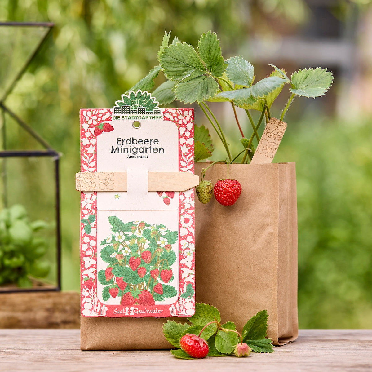 Das Pflanzenbauset von Die Stadtgärtner mit Saatgut für Minigarten Erdbeeren, inklusive Anzuchtgefäße und Erde.