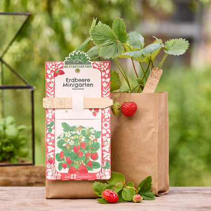 Das Pflanzenbauset von Die Stadtgärtner mit Saatgut für Minigarten Erdbeeren, inklusive Anzuchtgefäße und Erde.