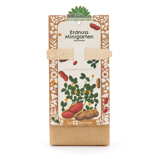 Anzuchtset für Minigarten mit Saatgut für Erdnüsse, inklusive kleiner Pflanzgefäße und Erdnusssamen, von Die Stadtgärtner