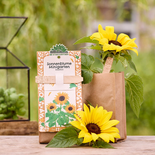 Pflanzenbauset von Die Stadtgärtner mit Saatgut für einen Minigarten Sonnenblume, ideal für Anzucht und Gartenprojekte.