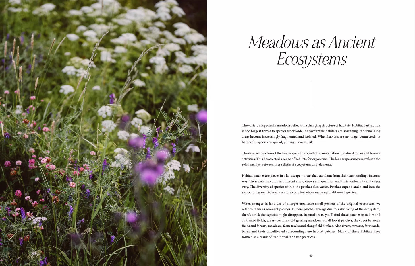 "Where Flowers Bloom" - Cozy Publishing - Coffee Table Book - Verdancia