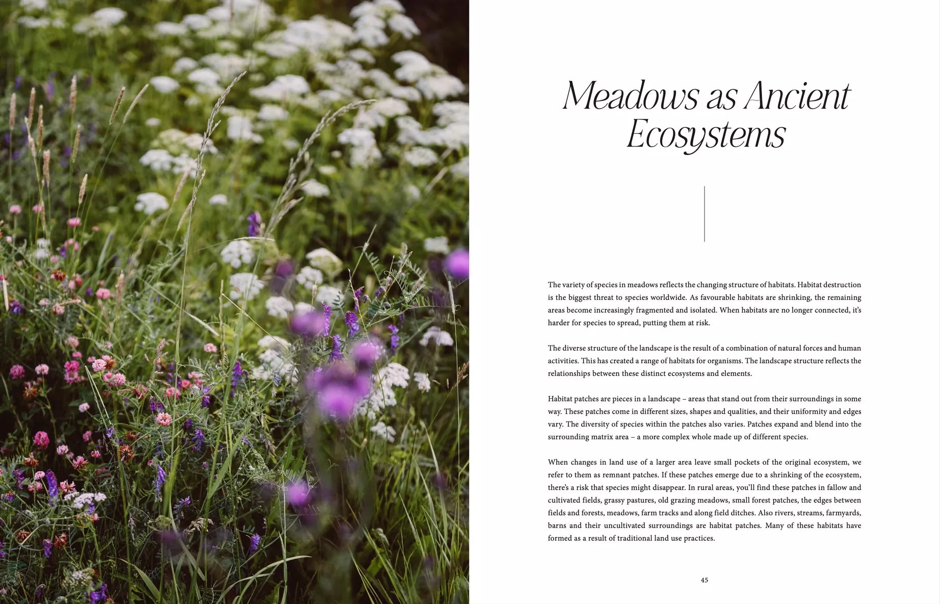 "Where Flowers Bloom" - Cozy Publishing - Coffee Table Book - Verdancia