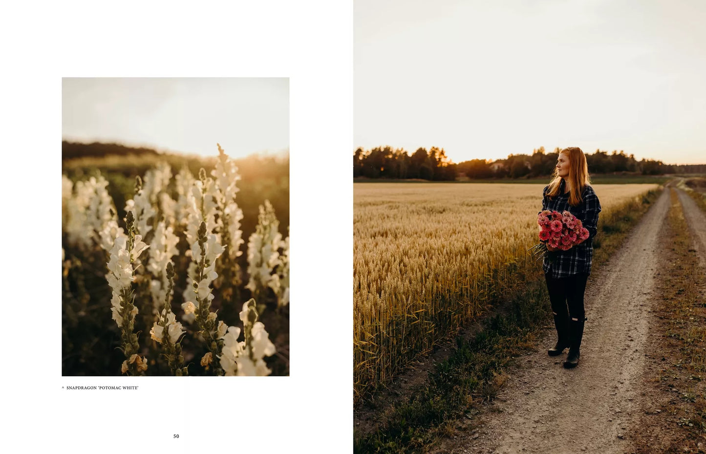 "Where Flowers Bloom" - Cozy Publishing - Coffee Table Book - Verdancia