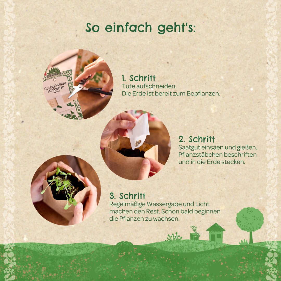 Pflanzenbauset von Die Stadtgärtner mit Anleitung für Minigarten Stockrose, ideal für Anzucht und Gartenprojekte.