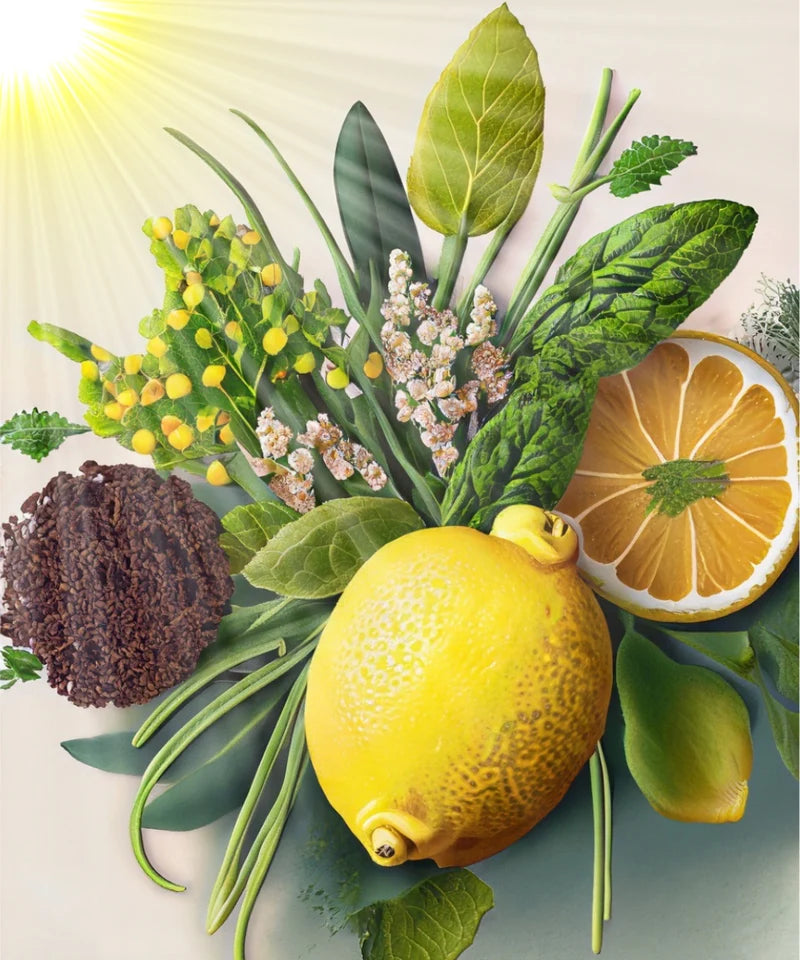 Bio ätherisches Öl „Sunshine in a Bottle“ – Sonnige Frische & neue Energie - Verdancia