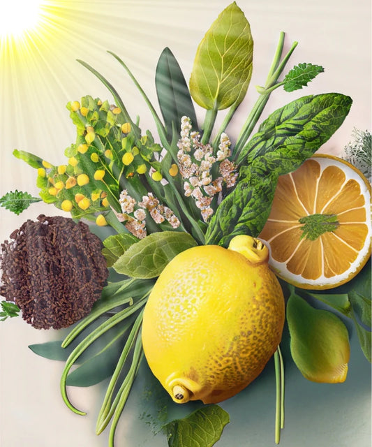 Bio ätherisches Öl „Sunshine in a Bottle“ – Sonnige Frische & neue Energie - Verdancia